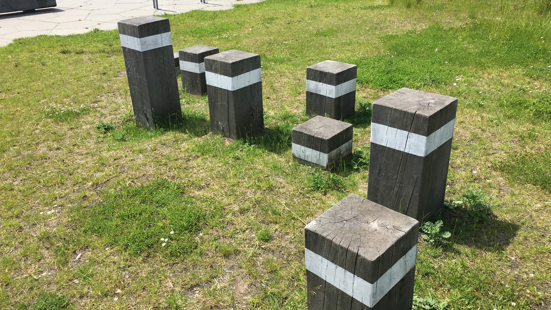 Balancestubbe på en græsplæne ved Hjertet Balancestubbe på en græsplæne ved Hjertet